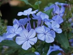 -乖乖佳花园山庄·私房菜(阿哈湖公园店)