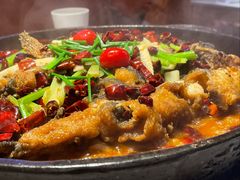 -老板恋上鱼(高新万达店)