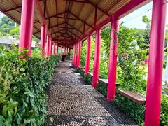 -东莞观音山旅游风景区