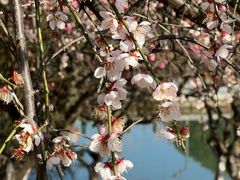 -白塘生态植物园