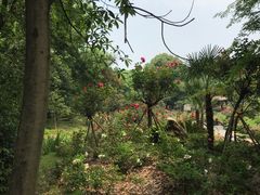-东湖落雁景区