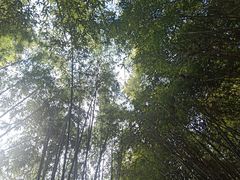 -英西峰林·洞天仙境