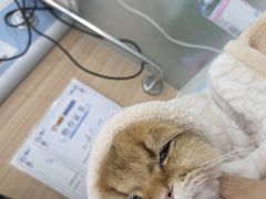 -达爱动物医院·犬猫分区·CT·复杂眼科(远洋山水分院)