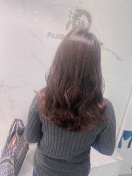 -潘多拉Hairsalon
