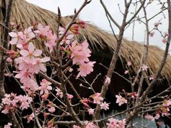 -优游吧斯邹族文化部落