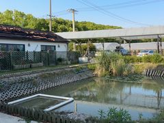 -美家乐农庄·露营·团建(大治路店)