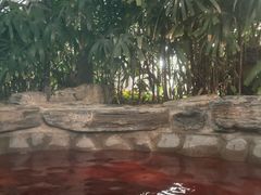 -中家鑫园温泉酒店鑫悦汤泉