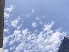 -钢管厂五区小郡肝串串香(通锦桥店)