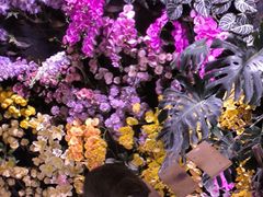 -正佳雨林生态植物园