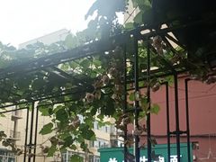 -可口香·非遗老号烧烤(南岗直营店)