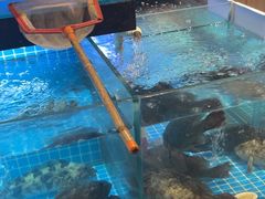 -隆喜元鱼汤包·海鲜(中联广场店)