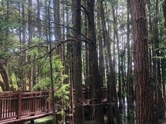 -东湖落雁景区