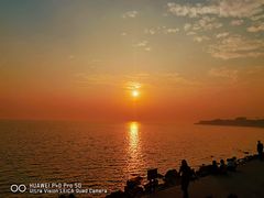 -深圳湾公园(南山区)