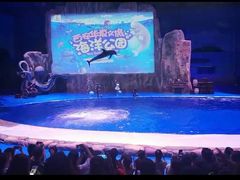 -华夏文旅海洋公园