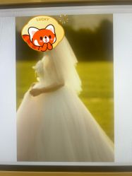 -金夫人婚纱摄影(总店)