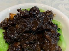 葱烧玛咖菌-全聚德(胜利大街店)