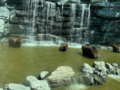 -北京野生动物园