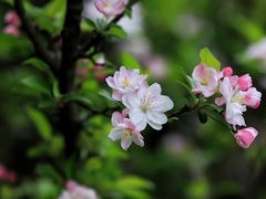 -上海吴淞炮台湾国家湿地公园