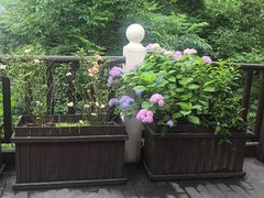 -耕渔小院·湖南鱼鲜(望城店)