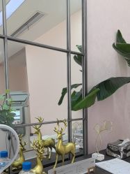 -上海首尔丽格医疗美容医院