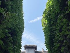 -乌镇景区