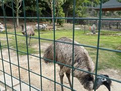 -达蓬山旅游度假区