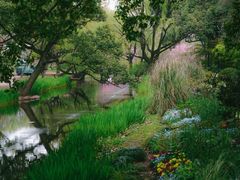 -上海共青森林公园