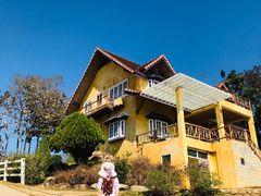 -黄色小屋