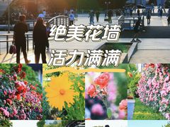 -上海科技馆(地铁站)