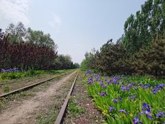 -永定河休闲森林公园