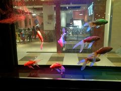 -一味清欢300℃时尚烤鱼(北京华联店)