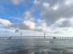-星海湾跨海大桥