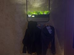 -新紫霞养生·影院足道·SPA(金山区店)