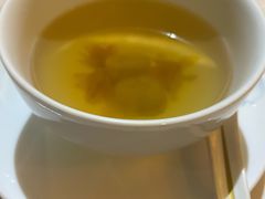 -诺莱仕游艇会