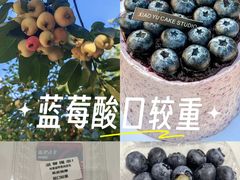 -洋湖国家湿地公园