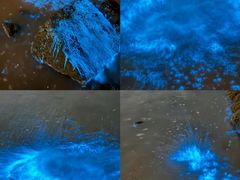 -日照灯塔风景区