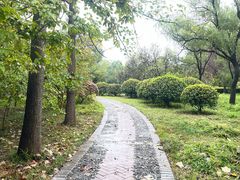 -洛阳市隋唐城遗址植物园