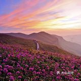 天上花海