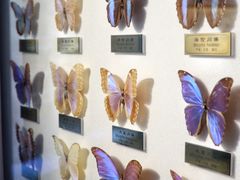 -上海昆虫博物馆