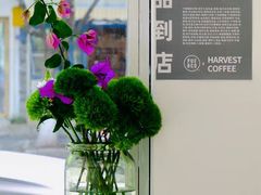 -收获咖啡HARVEST RESERVE(苍山店)