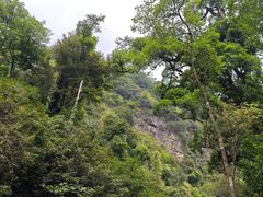 -鼎湖山风景区