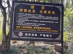 -苏州上方山国家森林公园