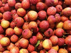 荔枝-果多美(三里河店)