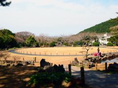-汉拿树木园