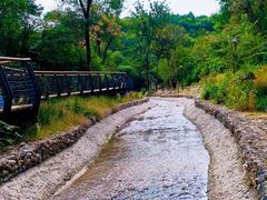 -白水寺森林公园