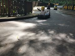 -圣淘沙天际线斜坡滑车