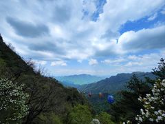 -朱雀国家森林公园