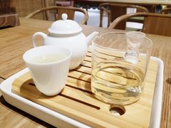 -柴务处·柴犬主题狗咖