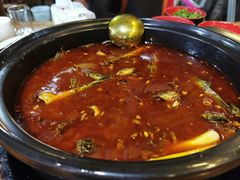 -金海椒罐罐鲢鱼(东方桂苑店)