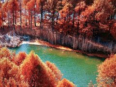 -贡湖湾湿地公园